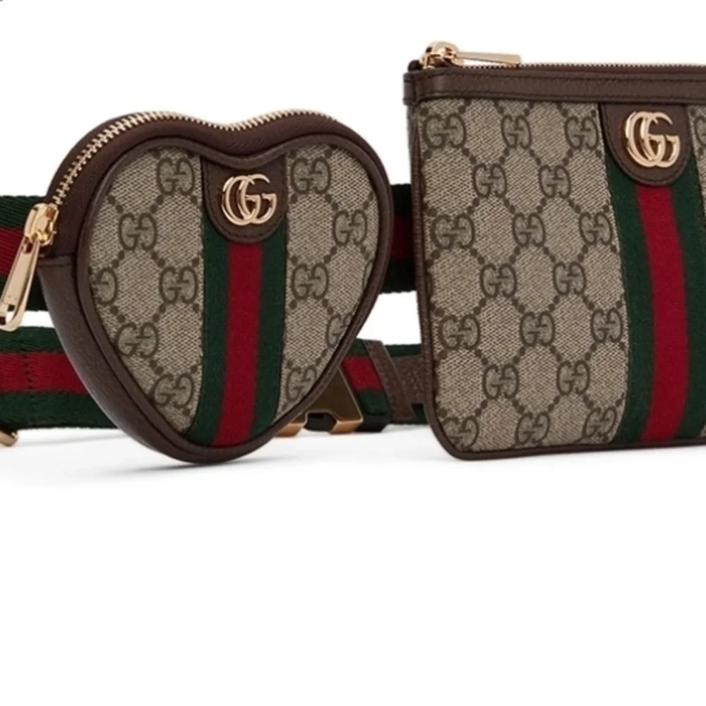 Gucci Beige and Brown Belt Bag Set - Picture 1 of 7